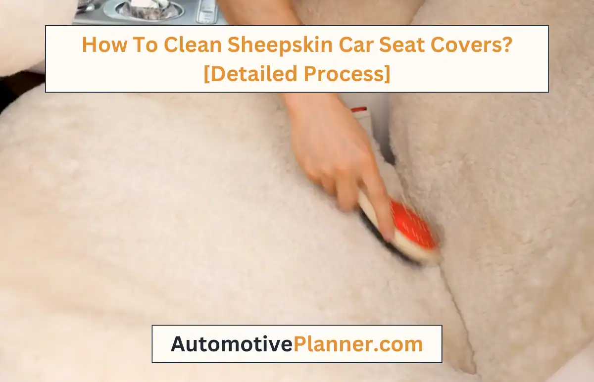 How To Clean Sheepskin Car Seat Covers